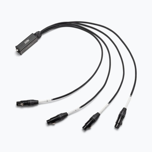 On-Stage Produciton-Grade Snake Signal Cable (Female)