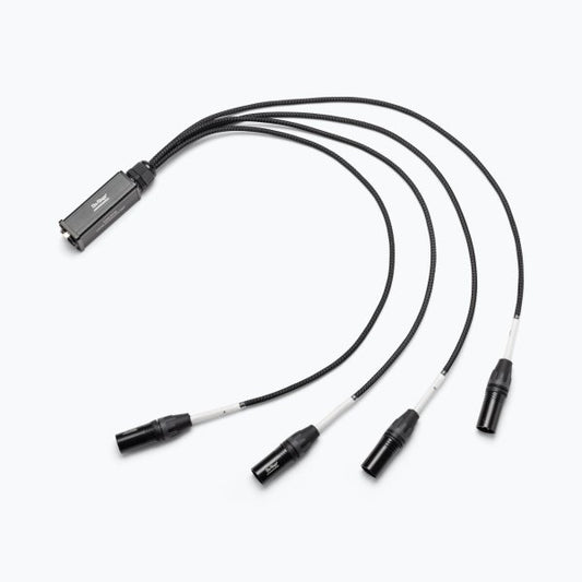 On-Stage Produciton-Grade Snake Signal Cable (Male)
