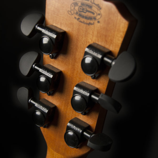 Washburn WCG66SCE Comfort Deluxe Grand Auditorium Cutaway — Spalted Maple