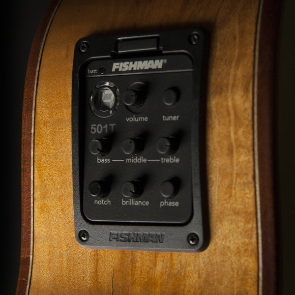 Washburn WCG66SCE Comfort Deluxe Grand Auditorium Cutaway — Spalted Maple