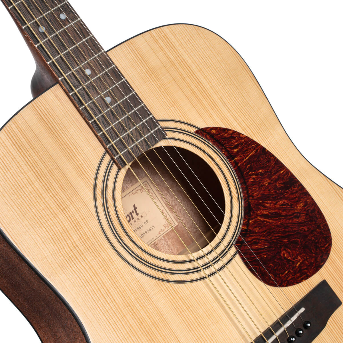 Cort Earth60 soundhole, abalone rosette and tortoise pickguard