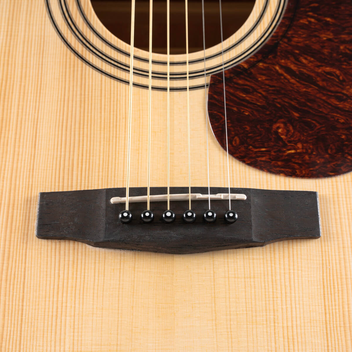 Cort Earth60 laurel bridge with black bridge pins