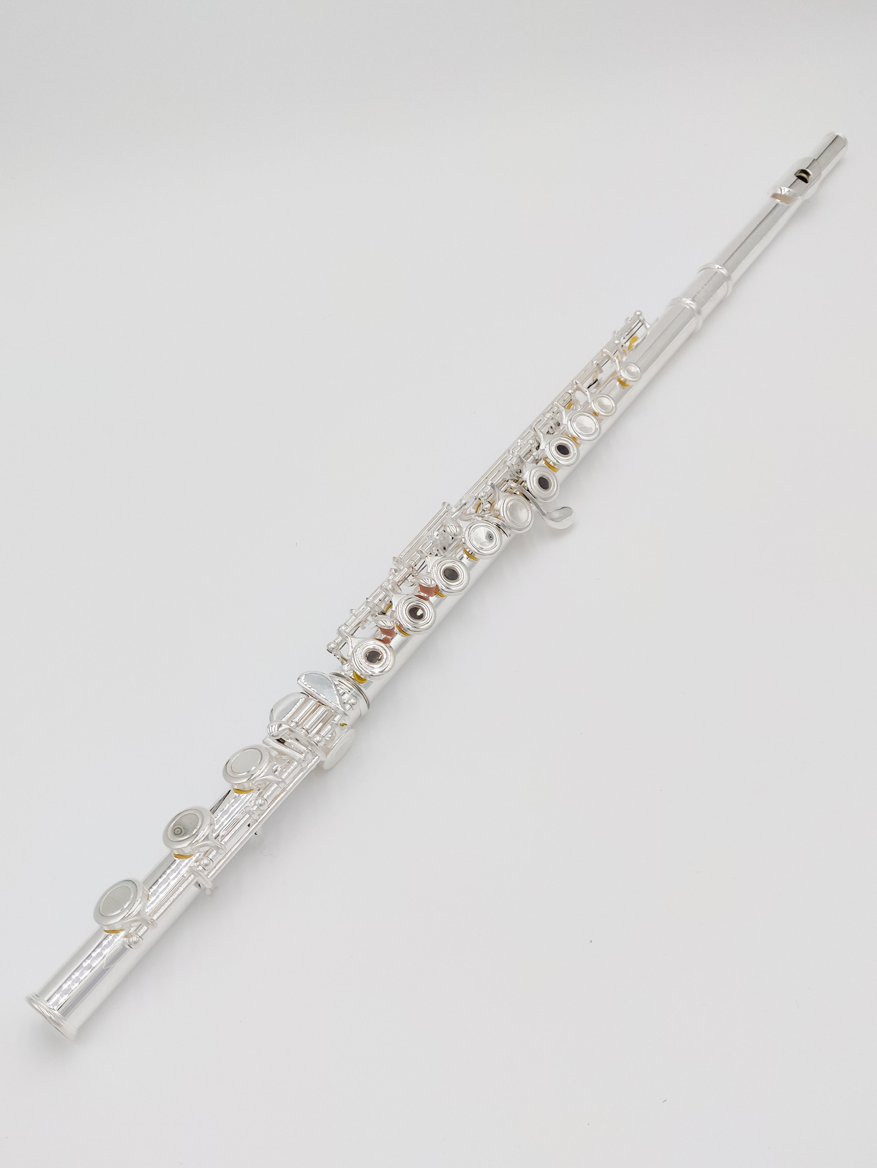 Triumph Series Open Hole Flute with B Footjoint [VFLT-TSSP-OB ...