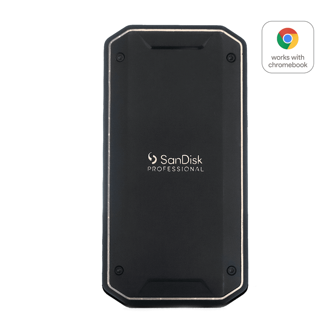 SanDisk Professional G-DRIVE PRO G40 Thunderbolt 3 SSD