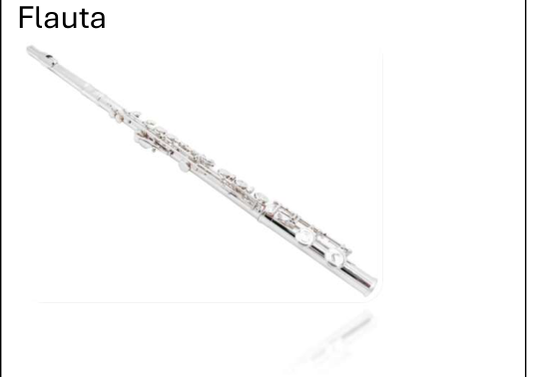 Victory SFL-32S Concert Flute