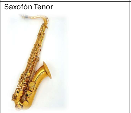 Victory STS-32 Bb Tenor Saxophone