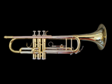 Triumph Series Trumpet  (Double Brace)