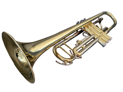 Triumph Series Trumpet  (Double Brace) [VTRP-TSGL-D]