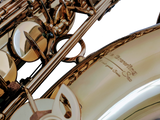 TGS Avant-garde Series Tenor Saxophone