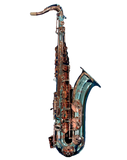 Special Edition Revelation Series Professional Tenor Saxophone (925 neck)