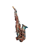 Special Edition Revelation Series Professional Curved Soprano Saxophone