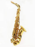 Origin Series Professional Alto Saxophone (GEN 3)